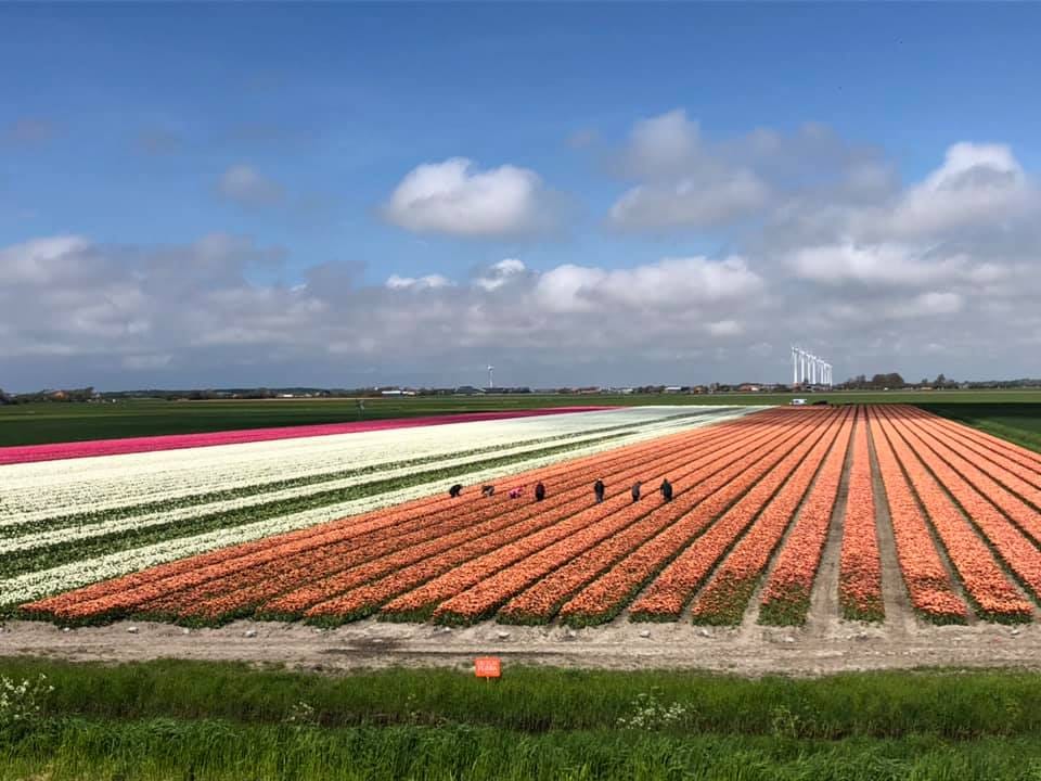 Photo 90 of Oudewal 46