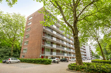 Cederstraat thumbnail
