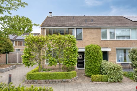 Johannes Poststraat thumbnail