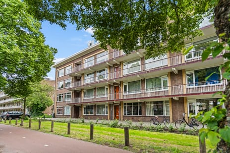 Burgemeester Norbruislaan thumbnail