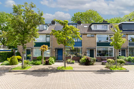 Akkerwinde thumbnail