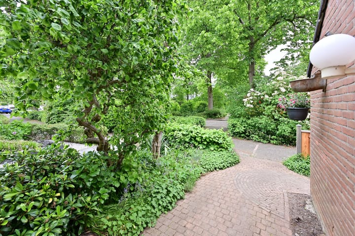 Foto 3 van Fauna 31