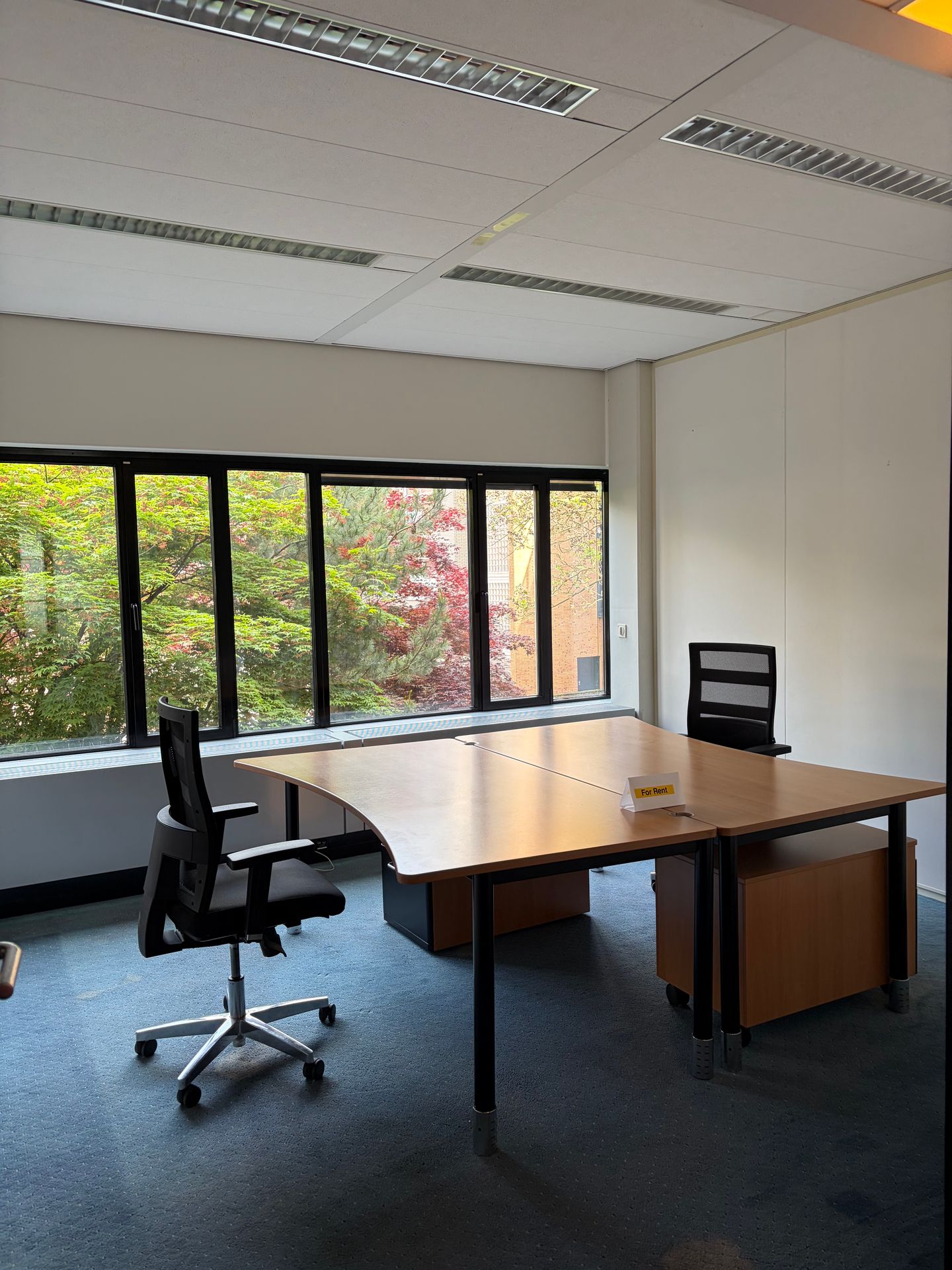 Bekijk foto 2 van Rentmeesterstraat 42