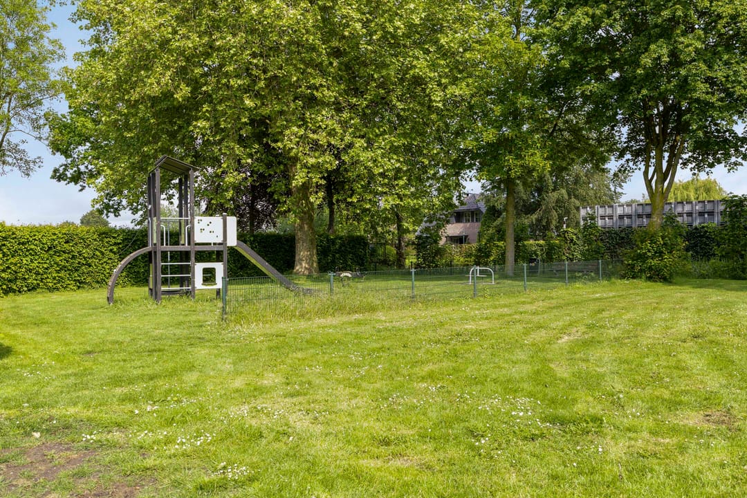 Foto 46 van Meerkoet 152
