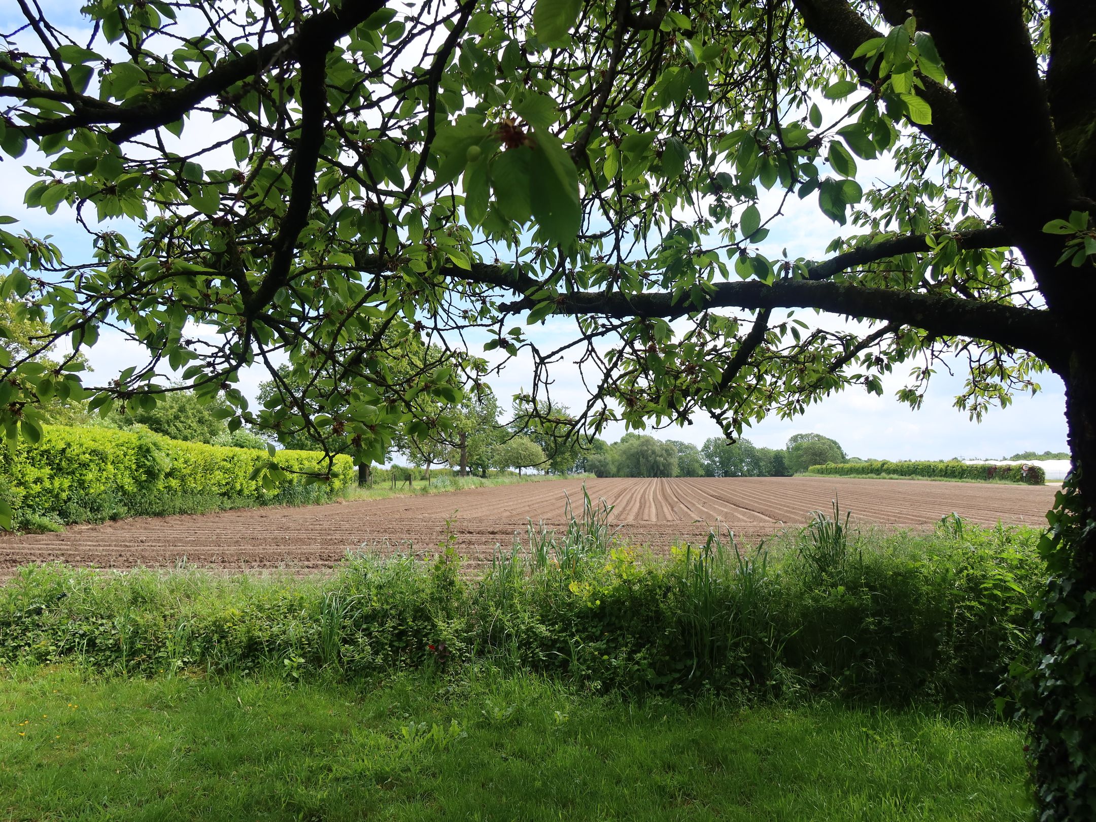 Photo 48 of Aalbekerweg 40