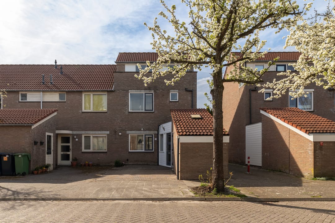 Foto 41 van Henriëtte Roland Holststraat 9
