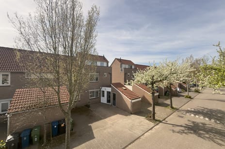 Henriëtte Roland Holststraat thumbnail