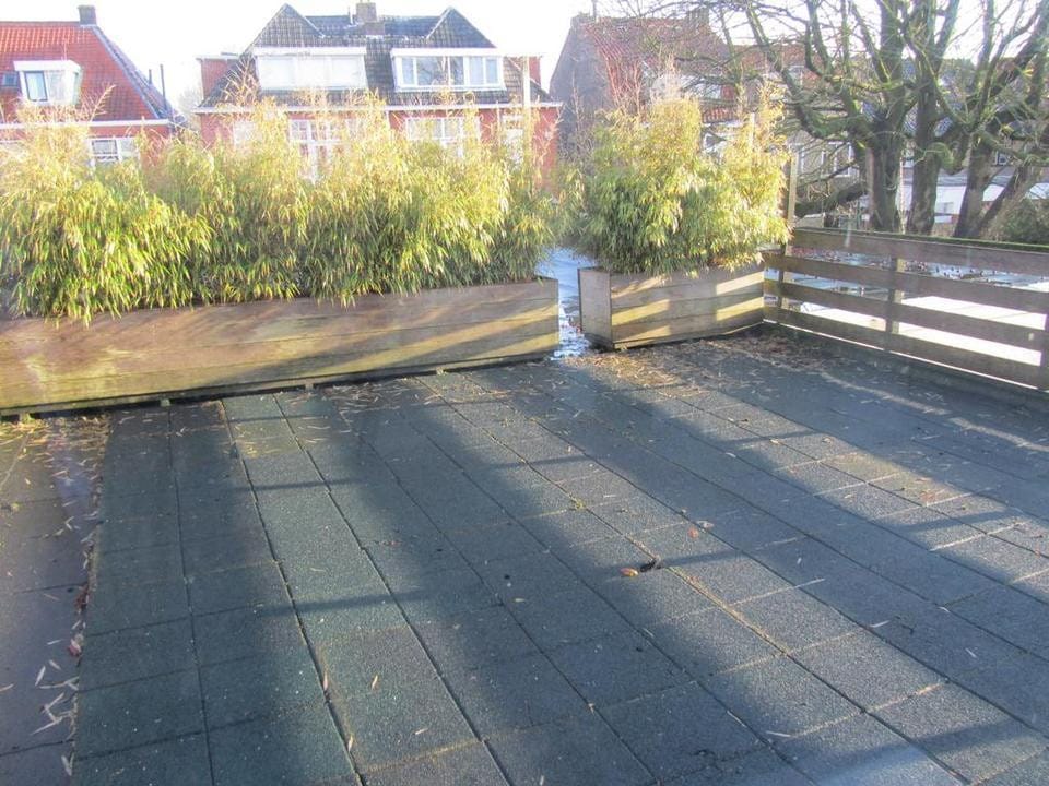 Foto 10 van Lijsterstraat 28