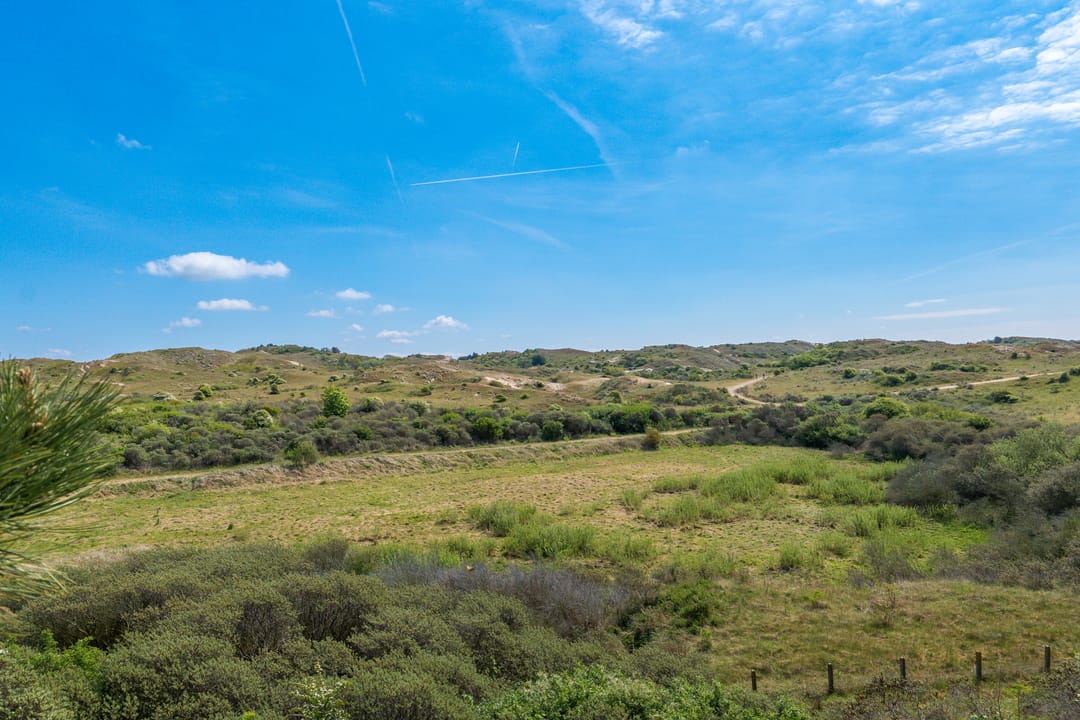 Foto 91 van Trumanplein 7