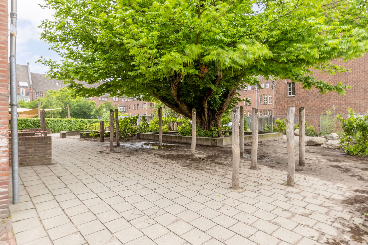 Foto 40 van Cornelis Speelmanstraat 12