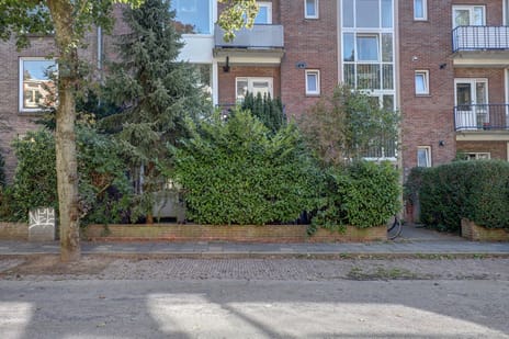 Pater Brugmanstraat thumbnail
