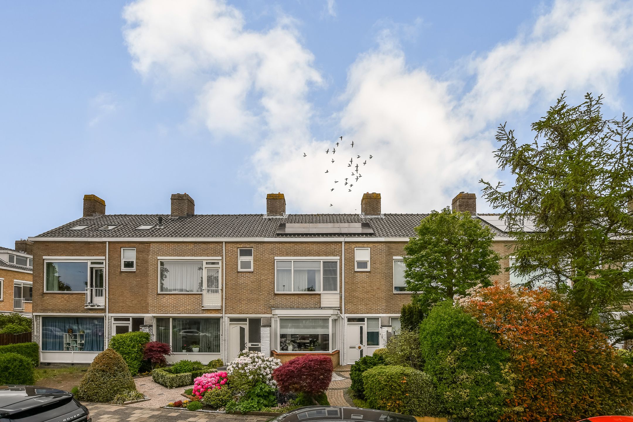 Narcissenlaan 21 