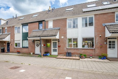 Kamilleveld thumbnail