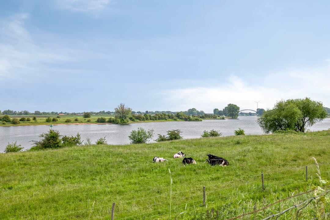 Photo 46 of Heesterburgh 18