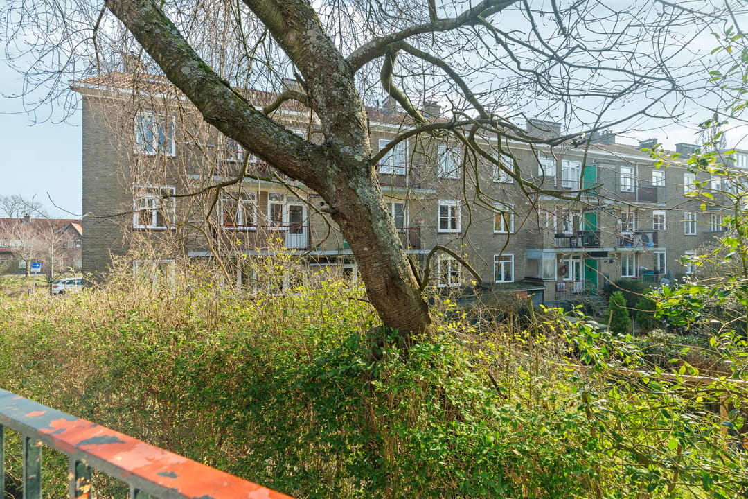 Foto 41 van Cremerstraat 1
