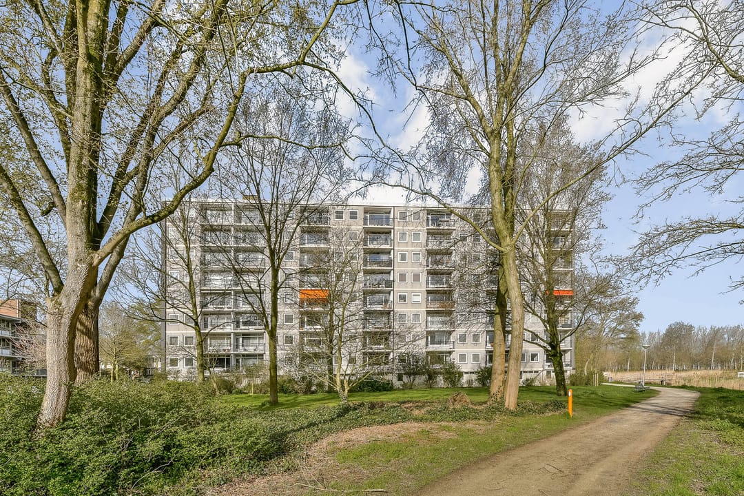 Foto 1 van Amerbos 176
