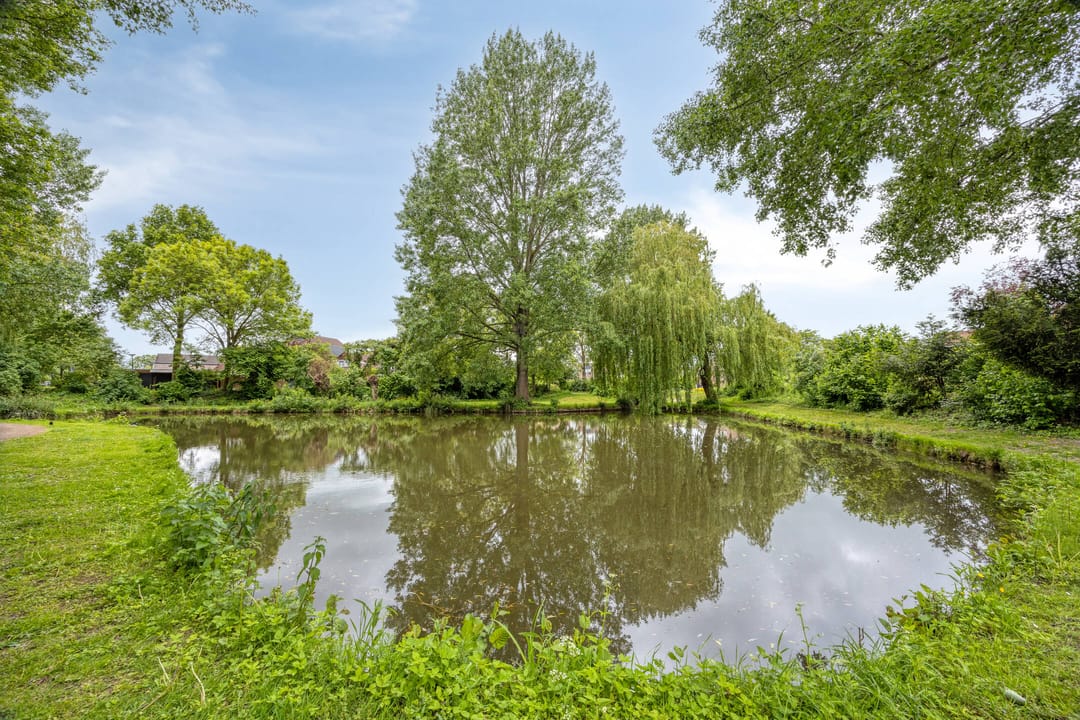 Foto 38 van Haanderik 216