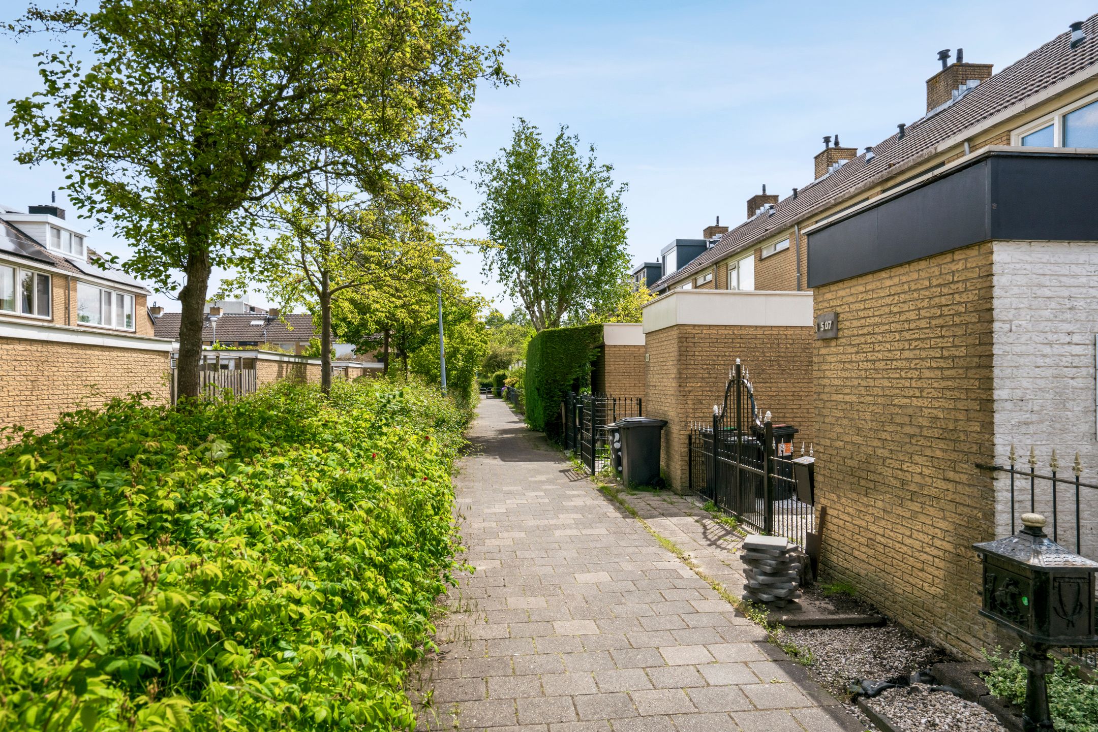 Photo 39 of Graan voor Visch 18506