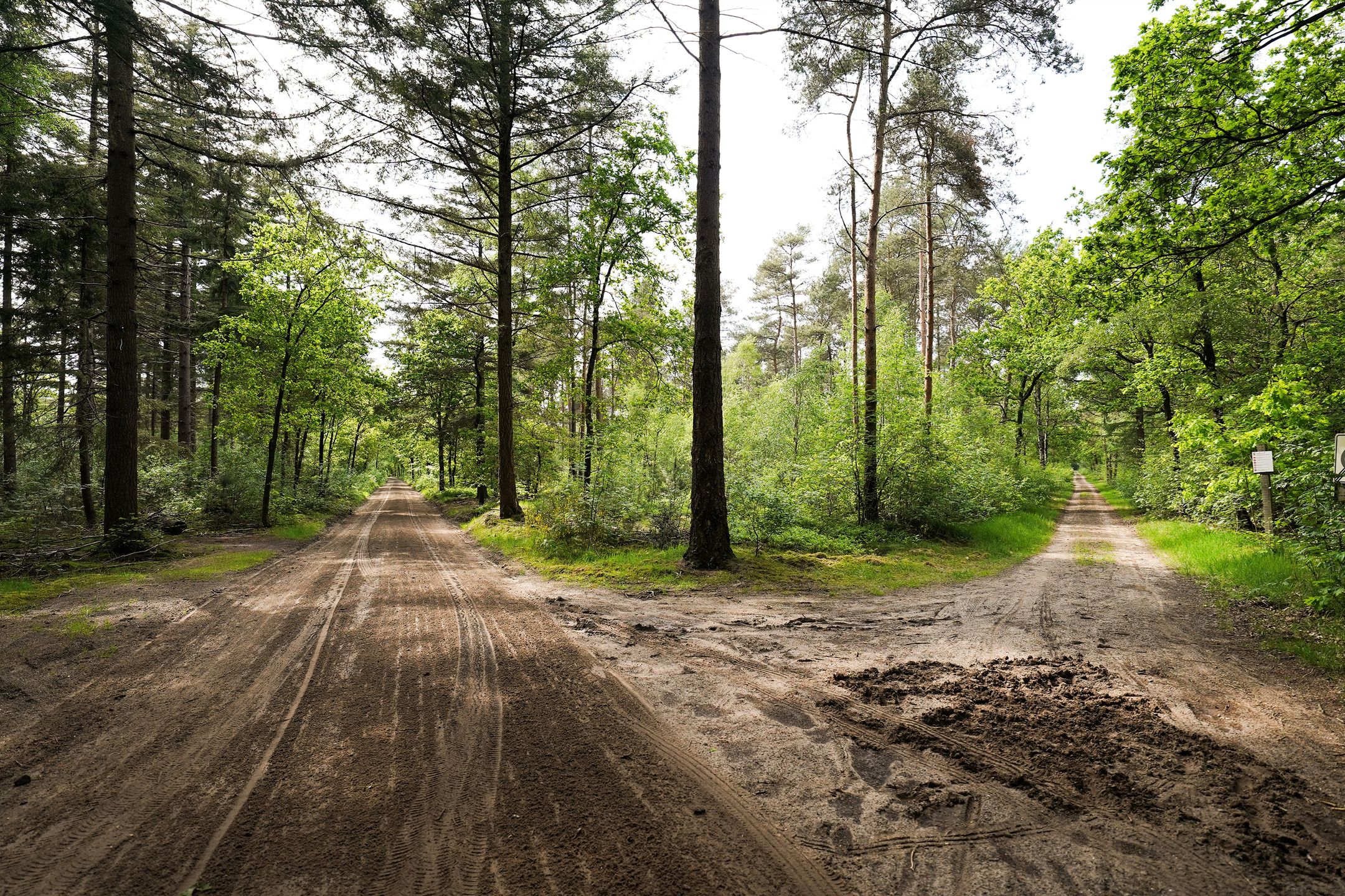 Photo 66 of Domeinenweg 4