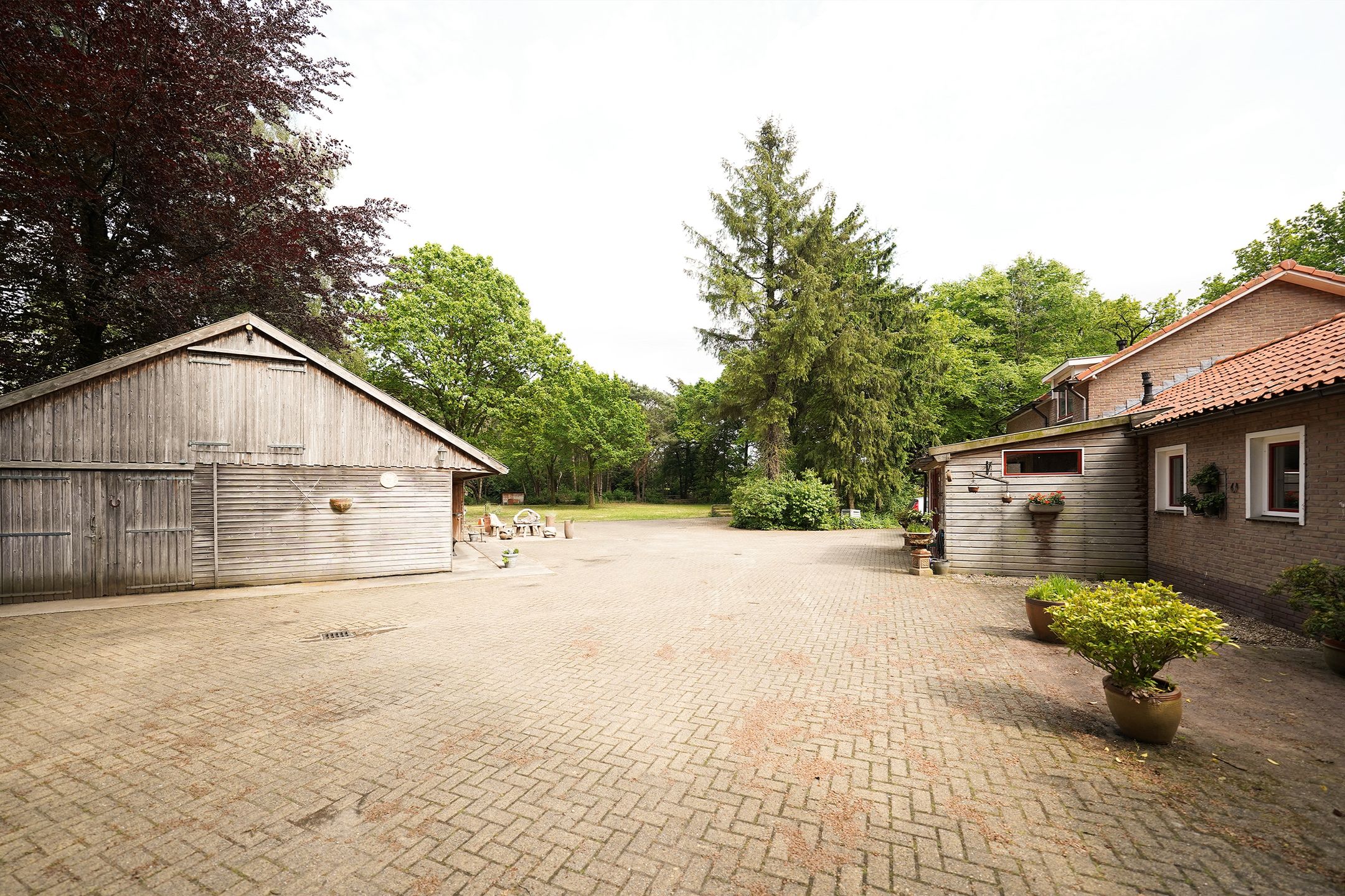 Photo 6 of Domeinenweg 4