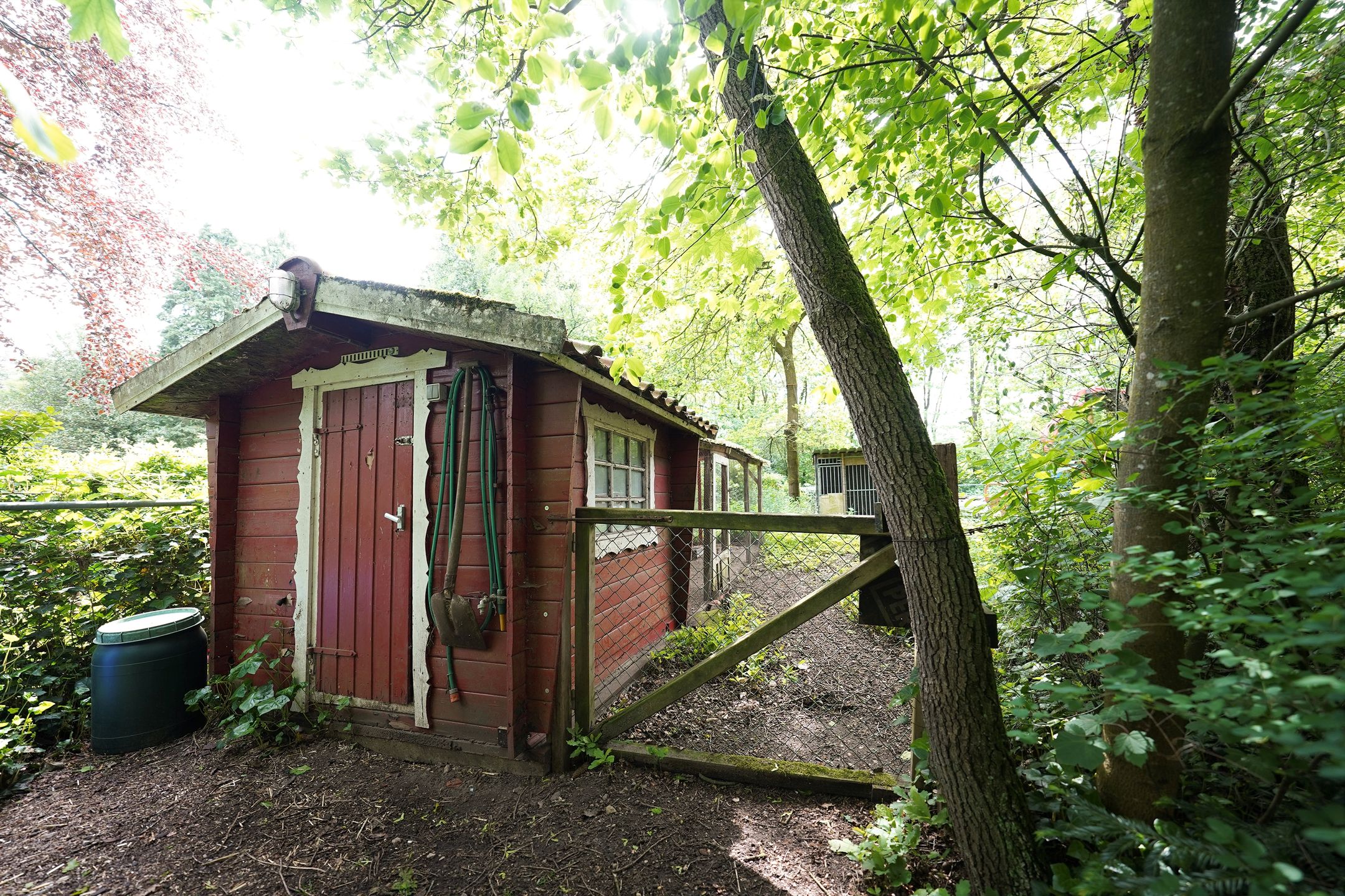 Photo 57 of Domeinenweg 4