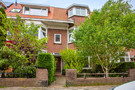Druivenstraat thumbnail