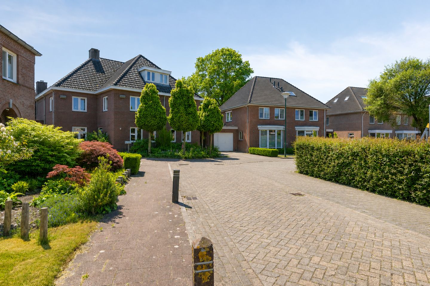 Photo 50 of Korenbloem 18