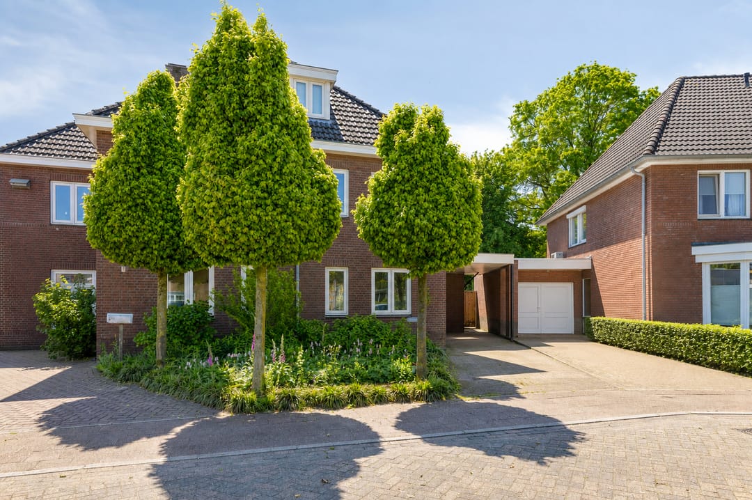 Photo 1 of Korenbloem 18