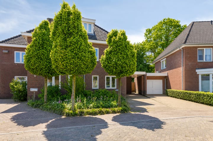 Korenbloem 18