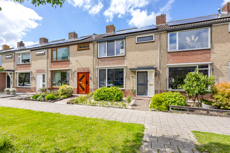 van Brederodestraat thumbnail