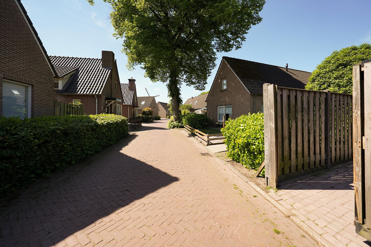 Photo 59 of Molenstraat 31