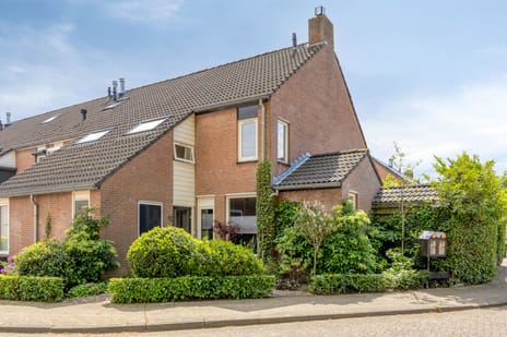 Plataanstraat thumbnail