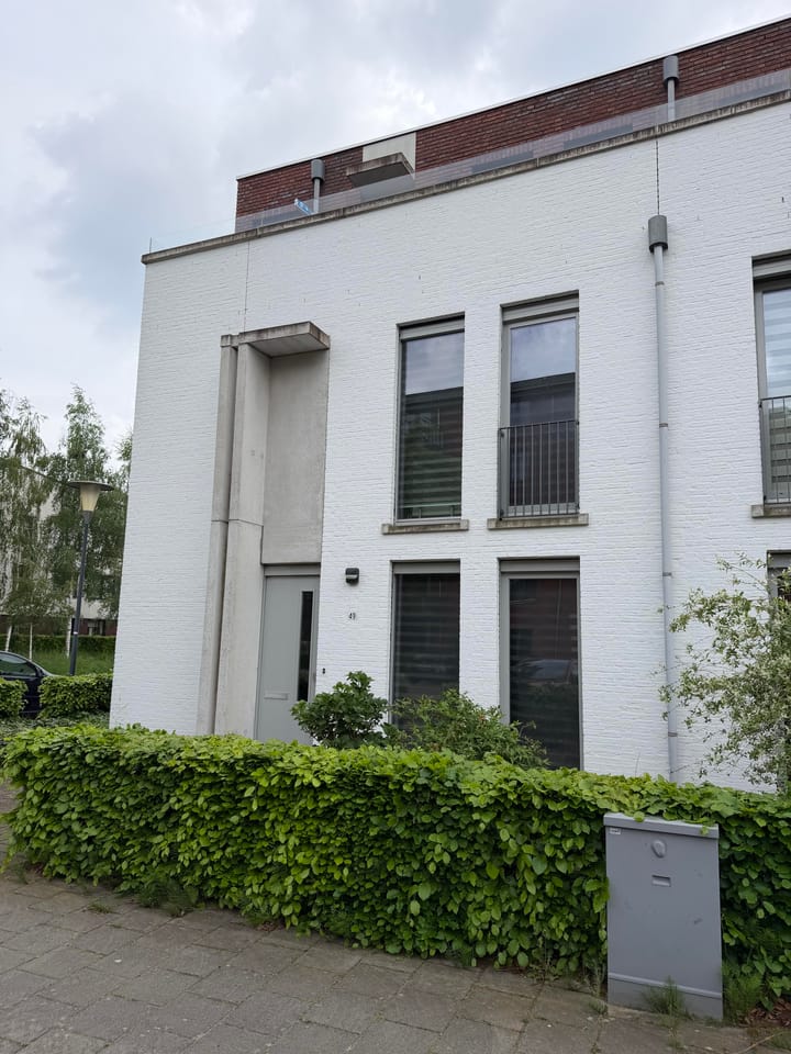 Foto 2 van Eekhoorn 49