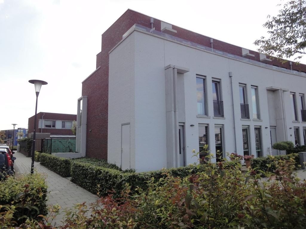 Foto 1 van Eekhoorn 49