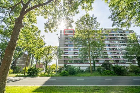 Bachstraat thumbnail