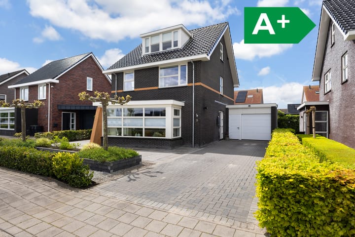Dieuwert 9