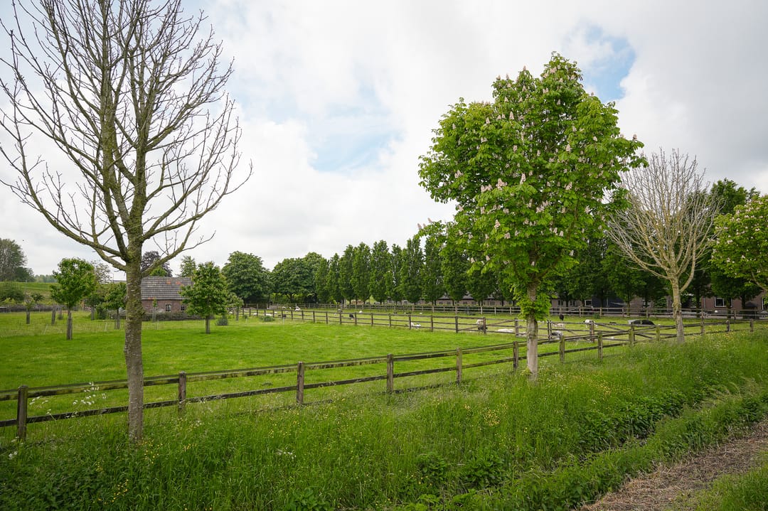Photo 77 of Korfgraaf 13
