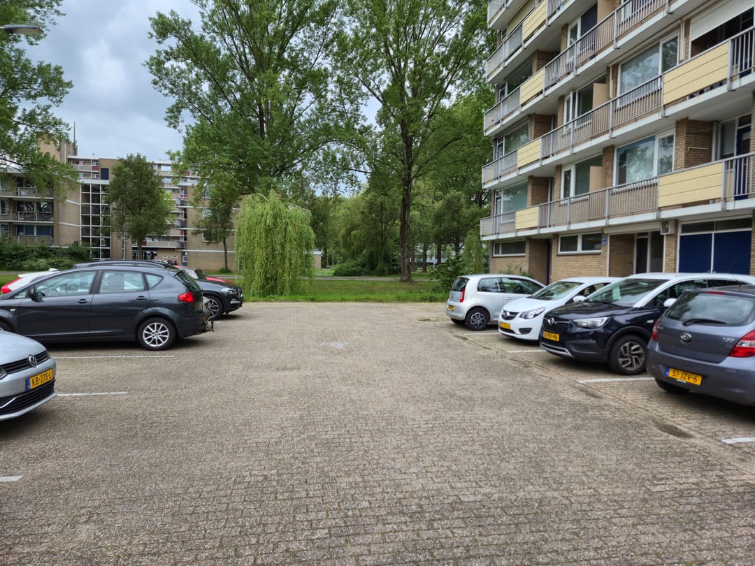 Spacious 3-Room Apartment with Two Balconies in Green Arnhem Neighborhood — 17