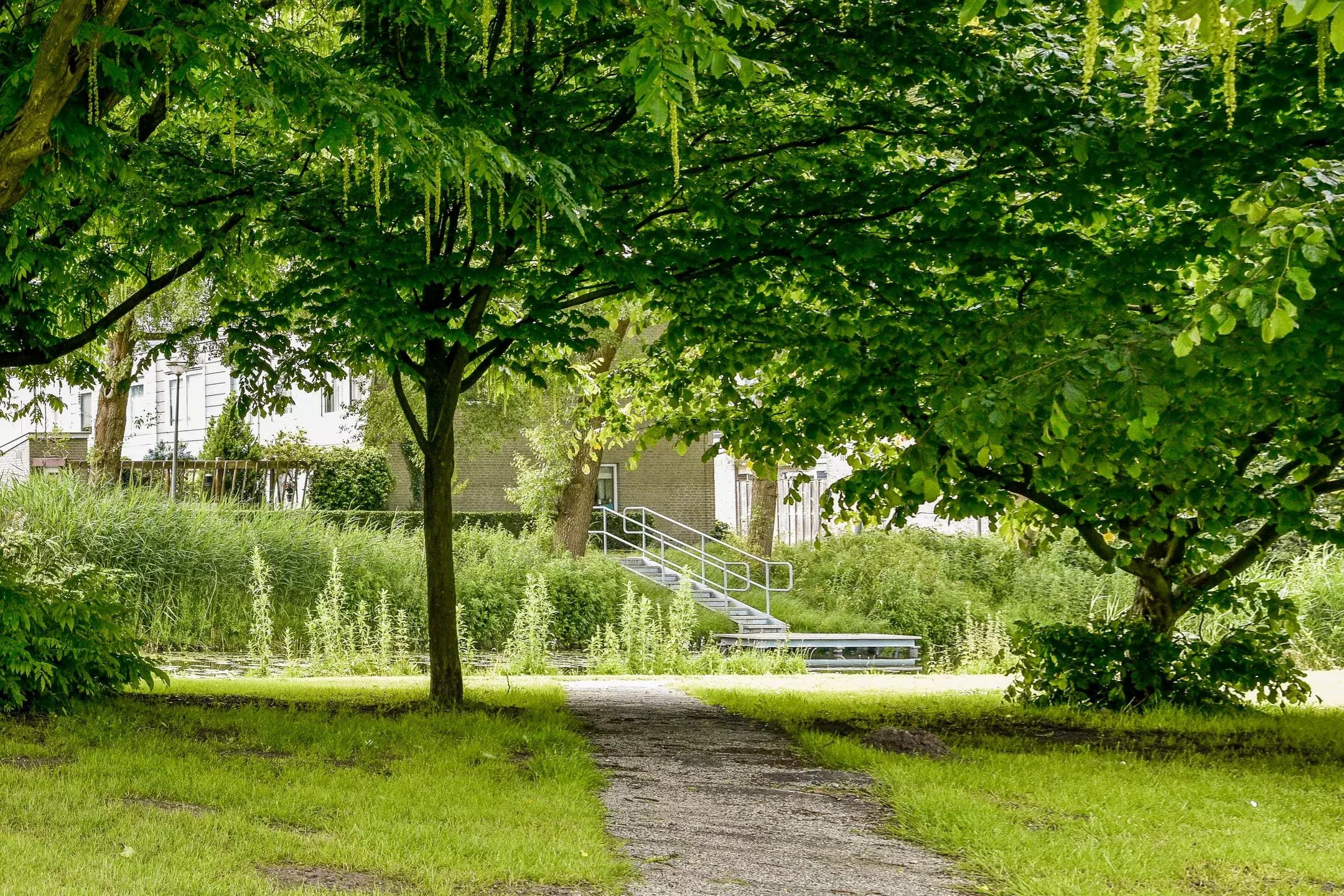 Photo 39 of Kempenlaan 91
