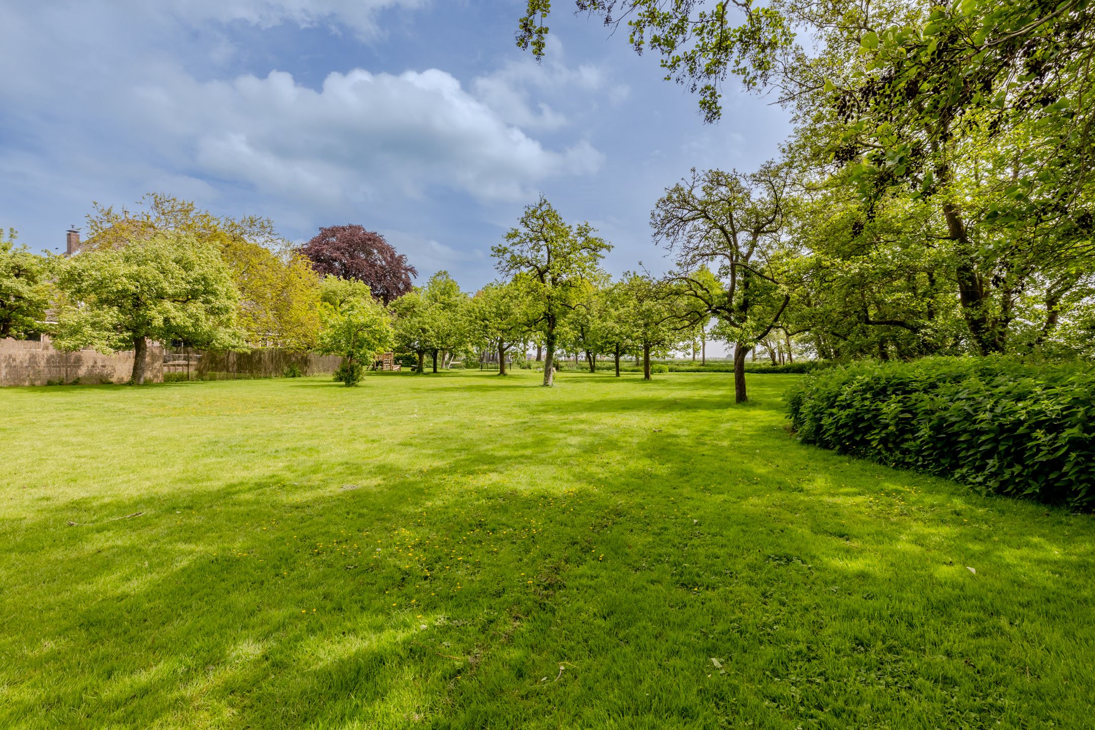 Photo 75 of Middenweg 189