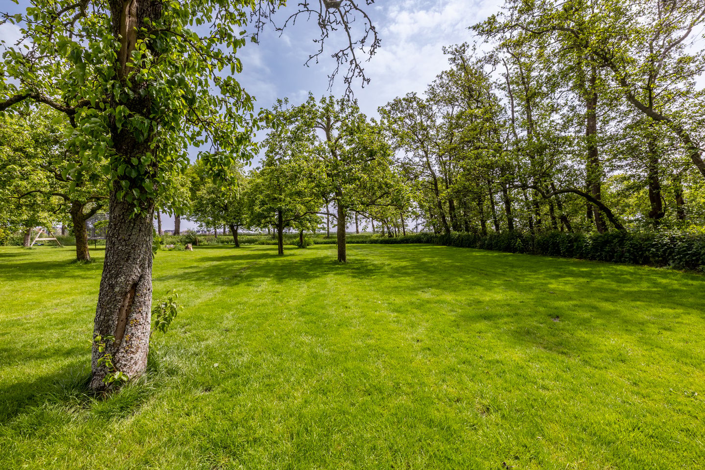 Photo 80 of Middenweg 189