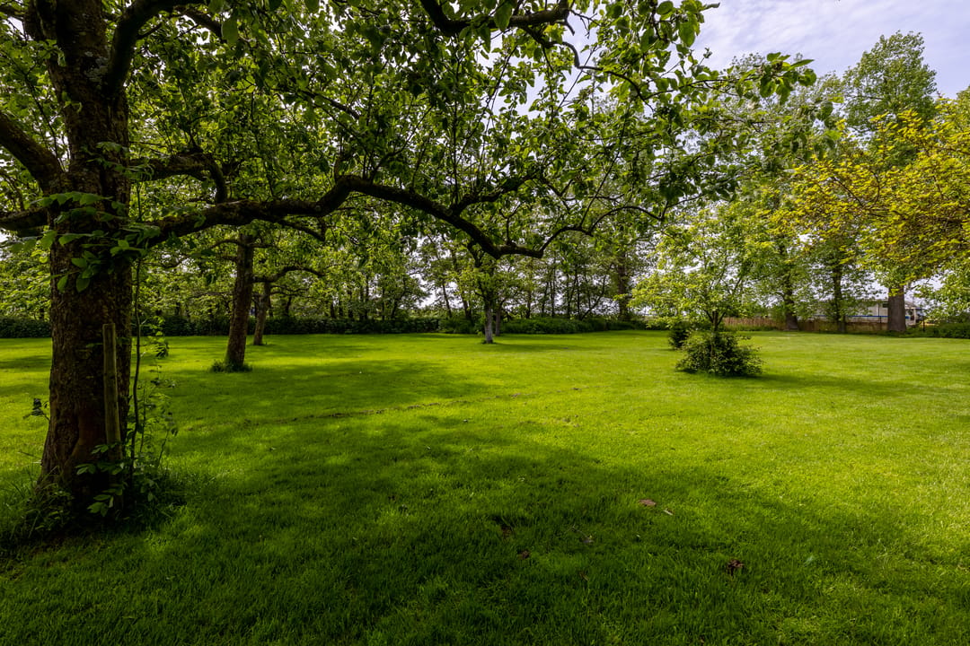 Photo 77 of Middenweg 189