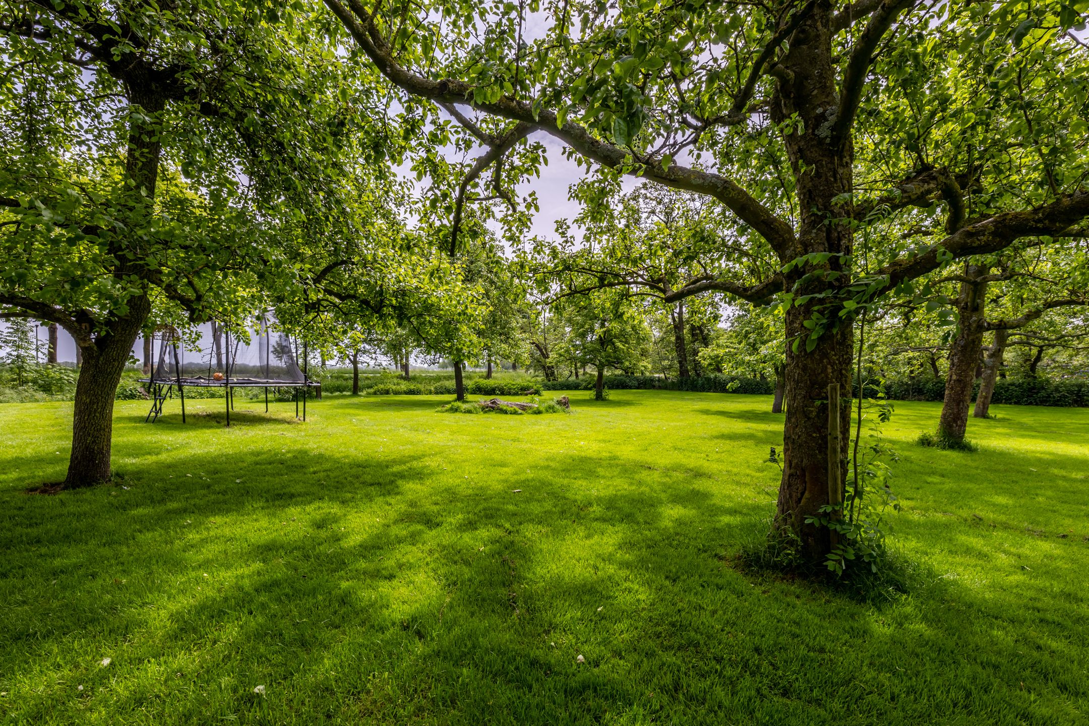 Photo 78 of Middenweg 189