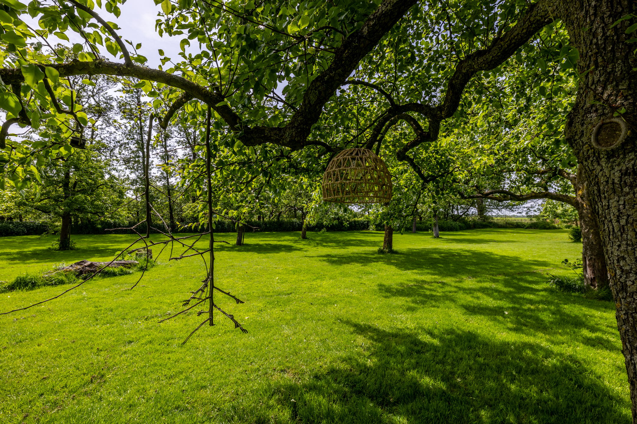Photo 81 of Middenweg 189