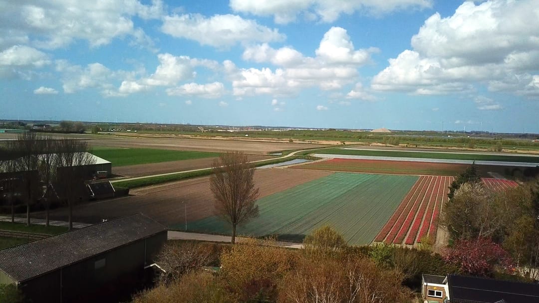 Foto 62 van Oosteinde 10