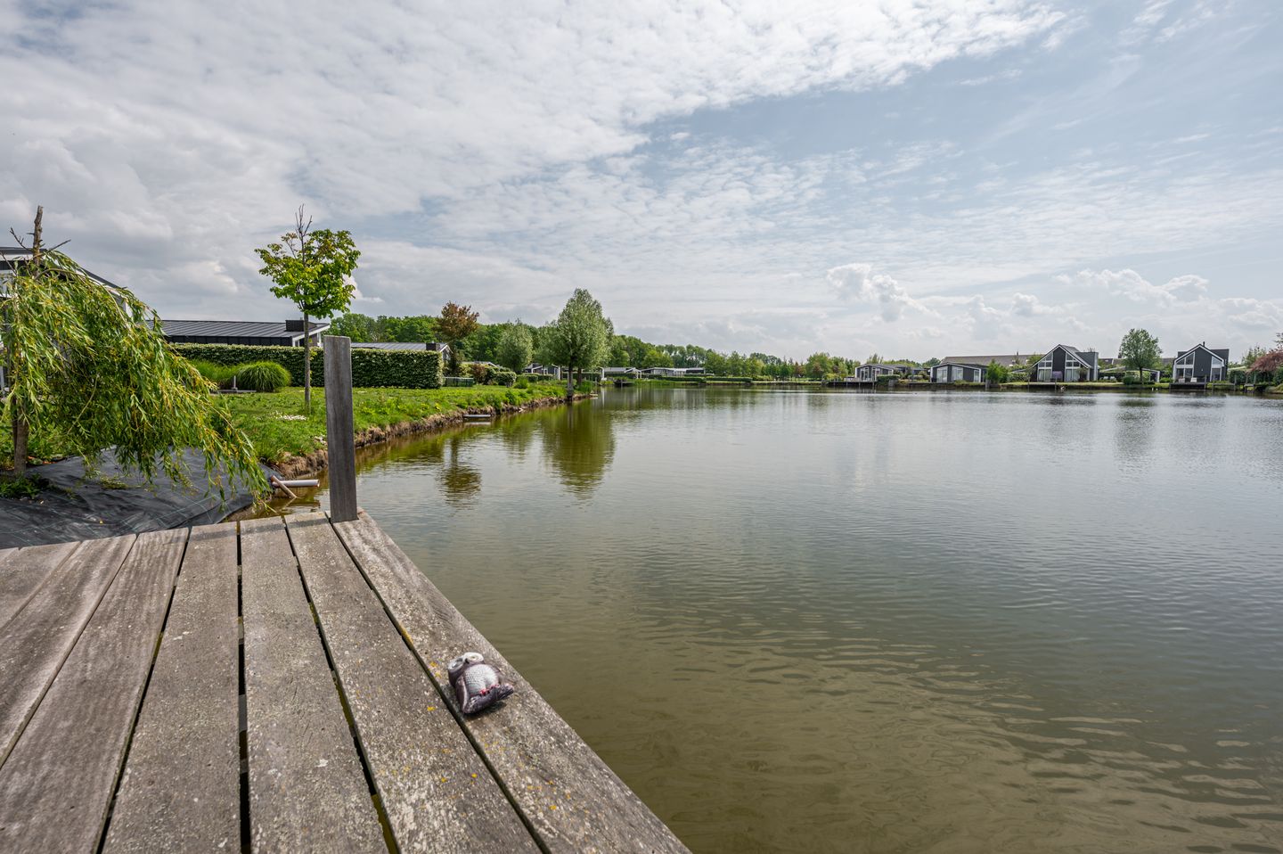 Photo 34 of Ruisweg 46