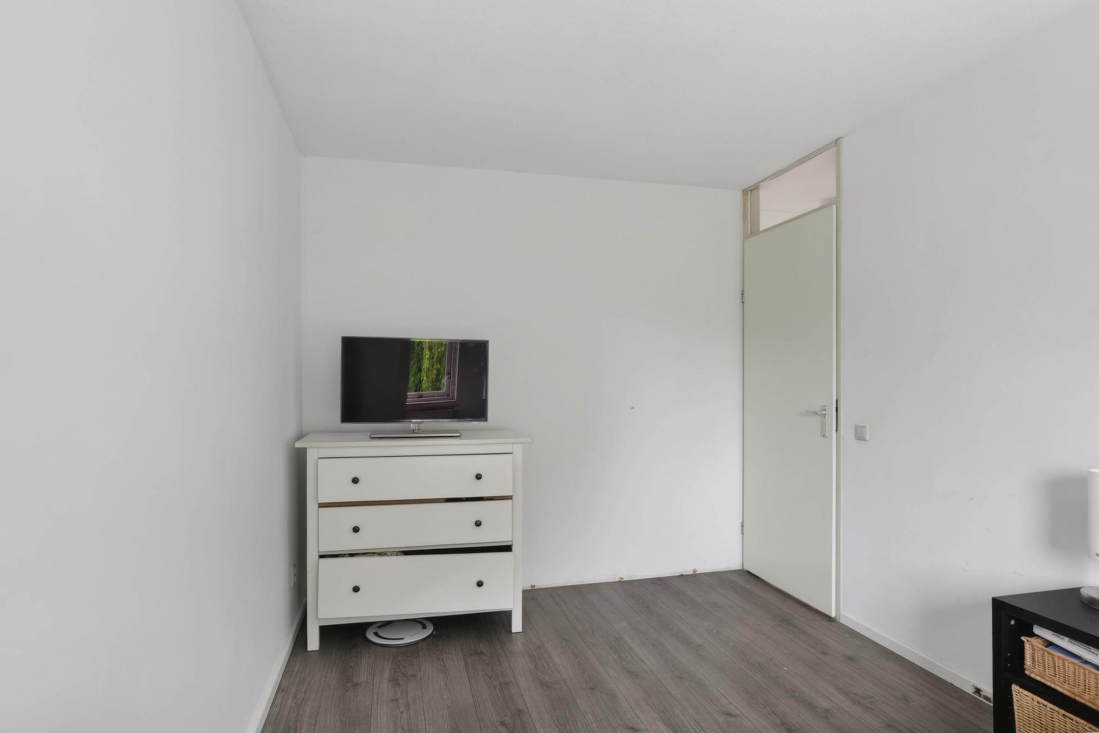 Foto 18 van Bromelia 52