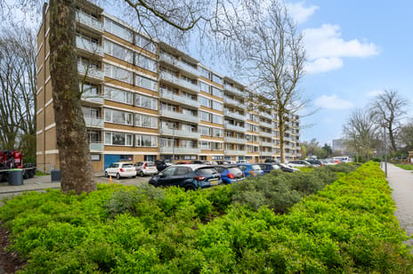 Blondeelstraat thumbnail