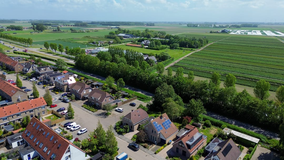Photo 41 of Pimpelmees 55