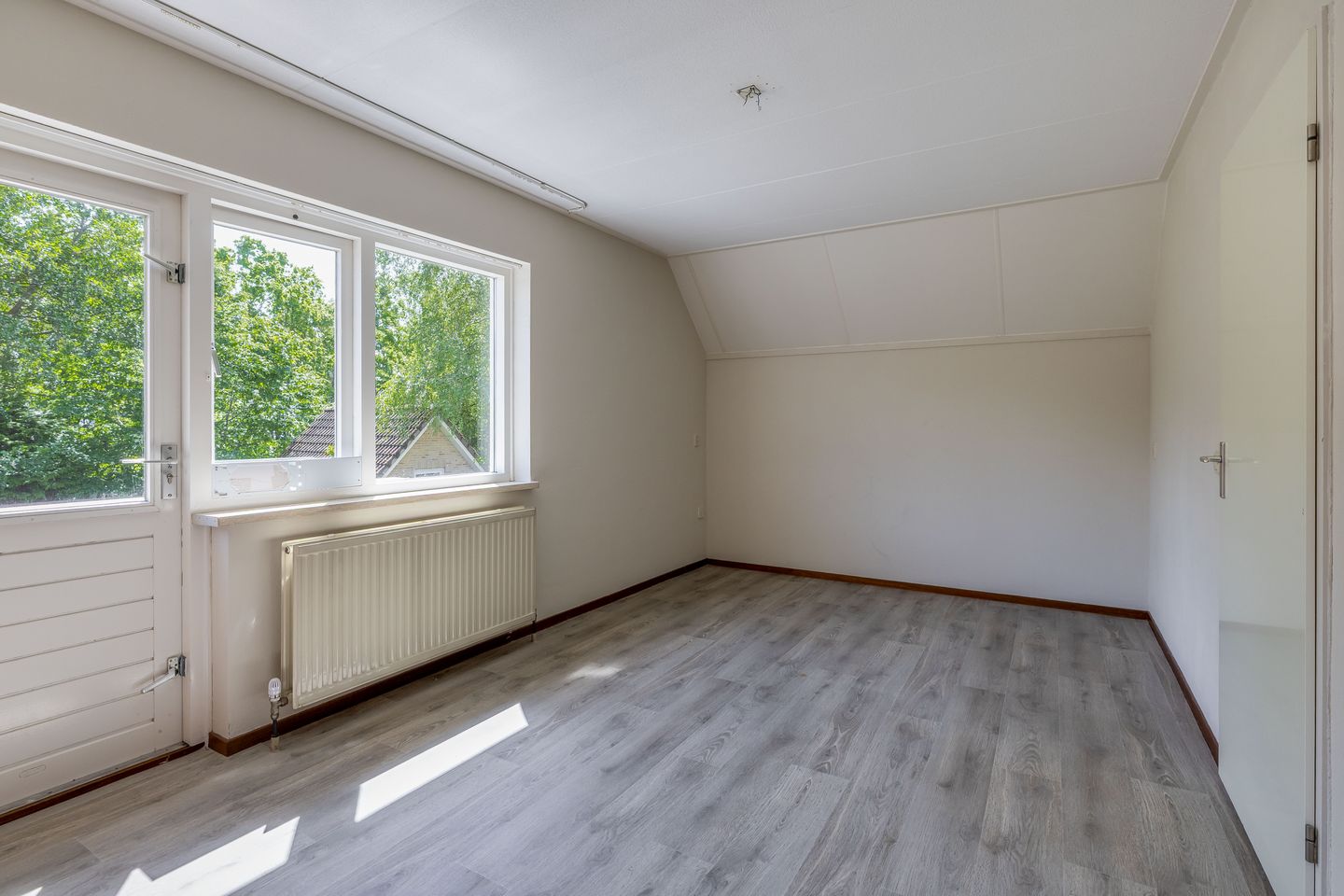 Photo 20 of Pimpelmees 55